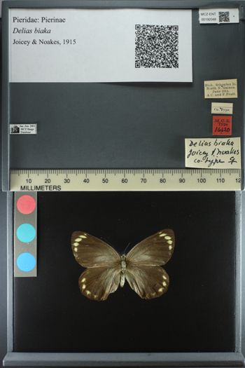 Media type: image;   Entomology 192048